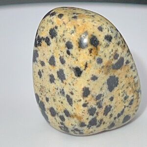 Dalmatian Stone Decorative Accent